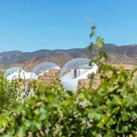 Campera Valle De Guadalupe Ensenada Exterior photo