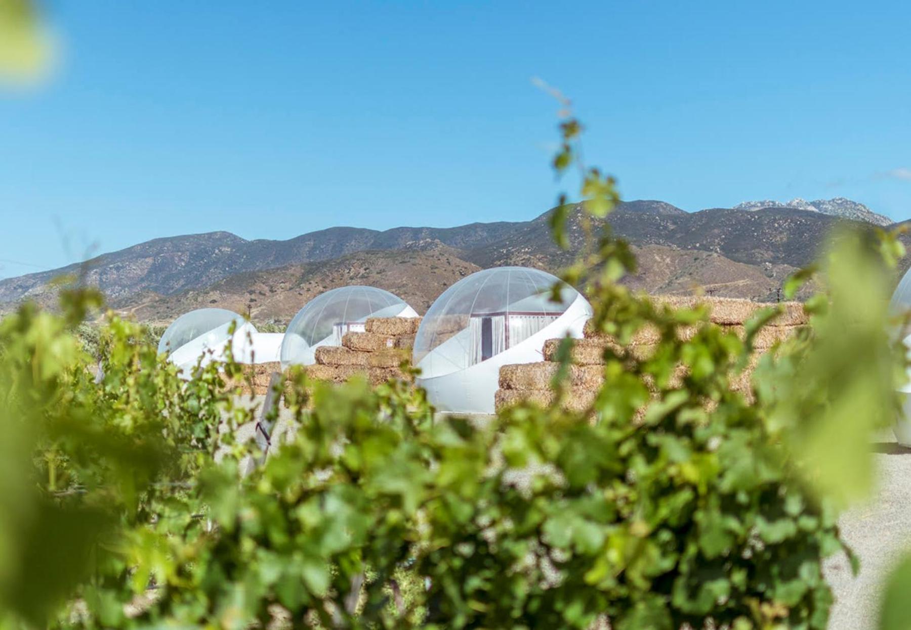 Campera Valle De Guadalupe Luxury tent