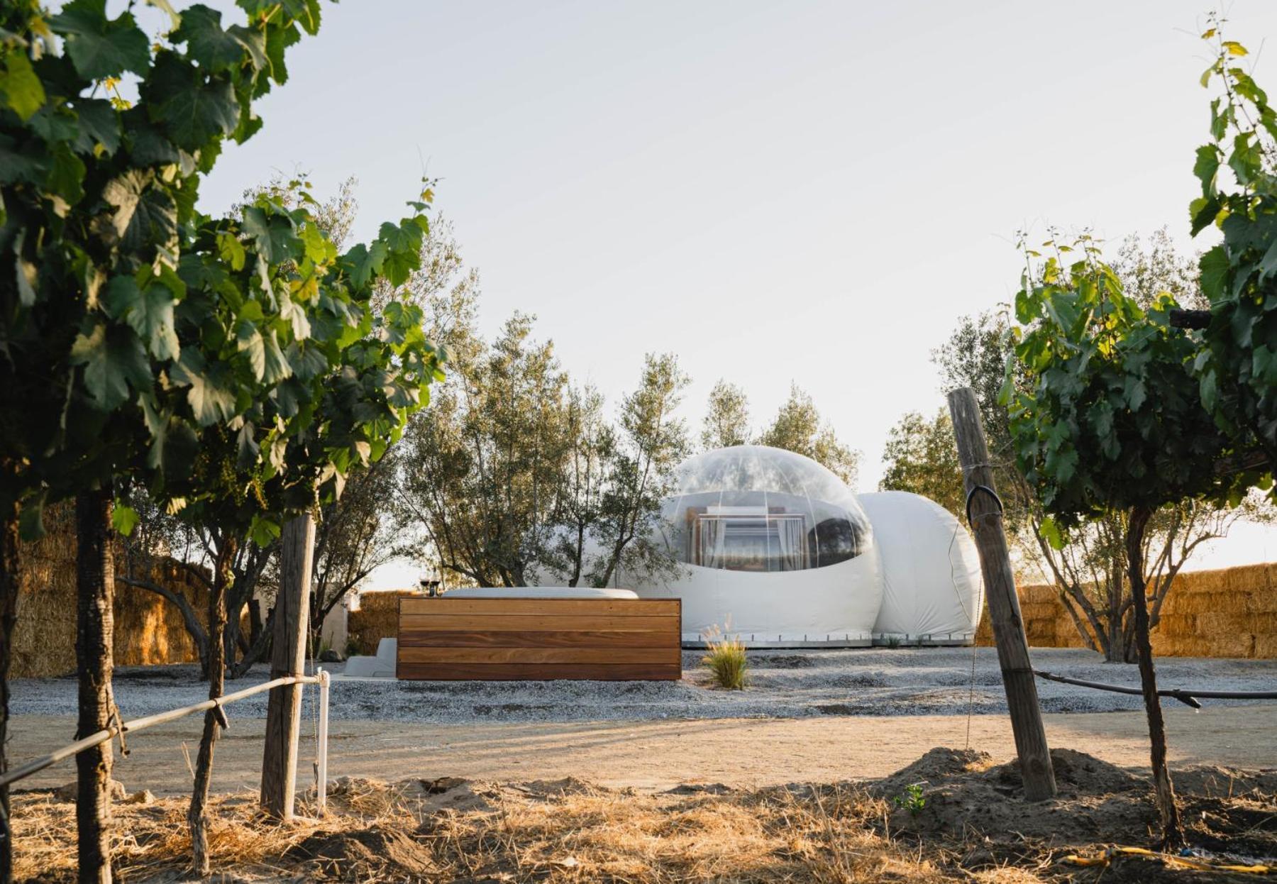 Campera Valle De Guadalupe Luxury tent Ensenada