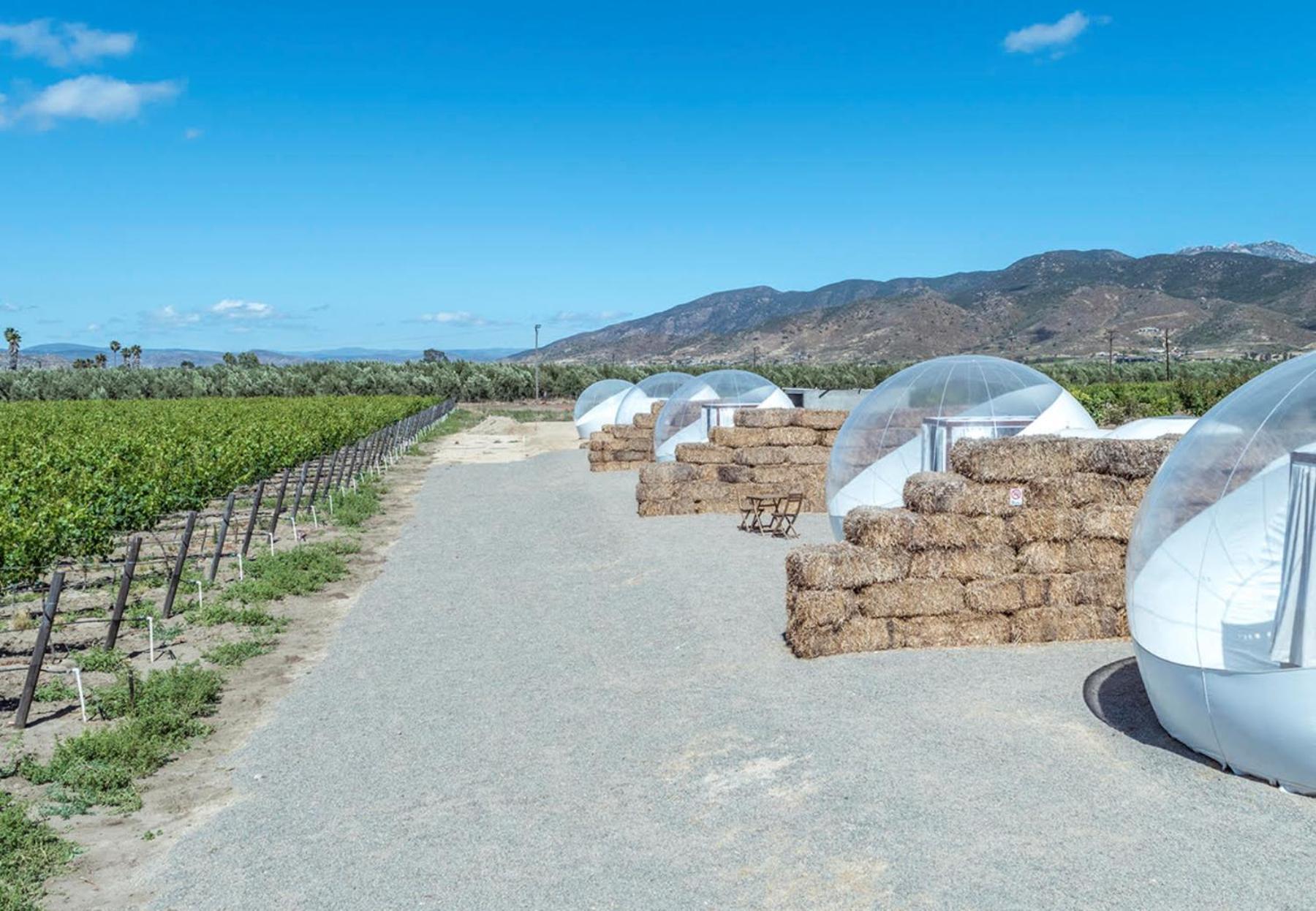Campera Valle De Guadalupe Ensenada