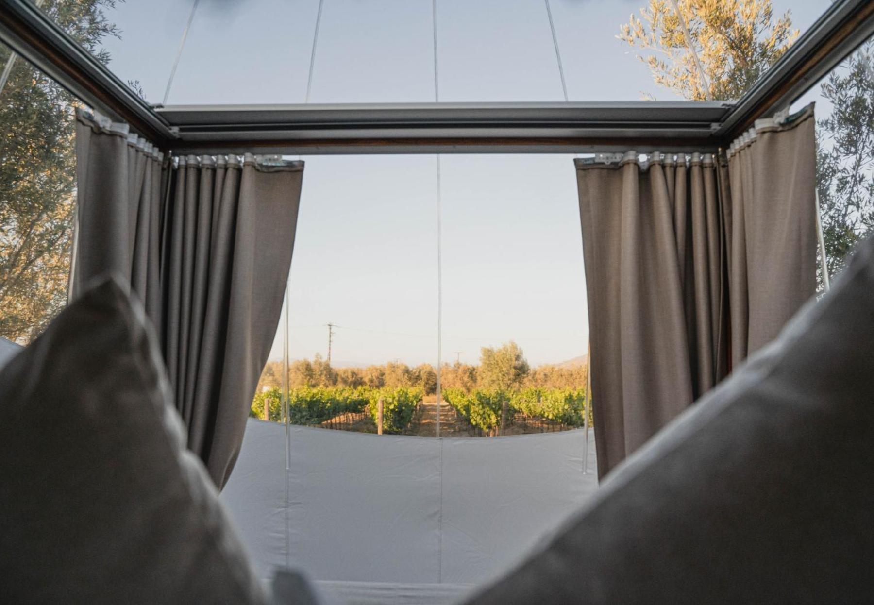 Campera Valle De Guadalupe